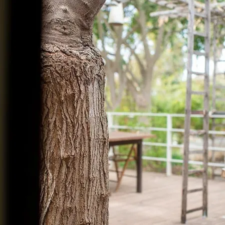 Anima&cori - Officina Didattica