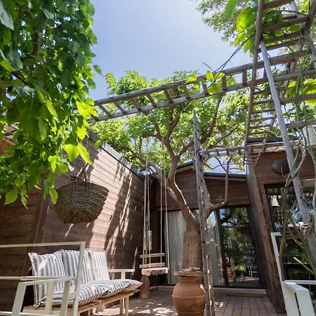 Anima&cori - Officina Didattica