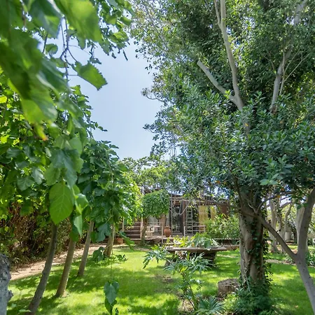 Anima&cori - Officina Didattica * Donnalucata (Sicily)