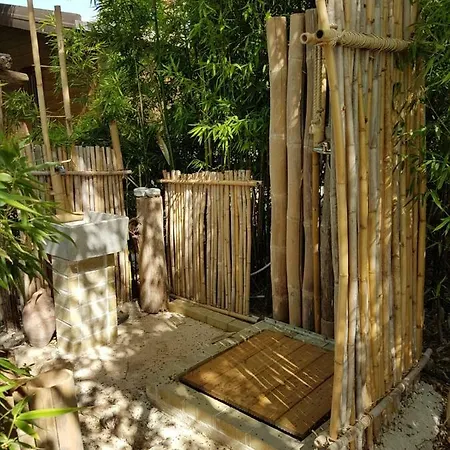 Anima&cori - Officina Didattica *