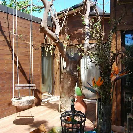 Anima&cori - Officina Didattica * Donnalucata (Sicily)